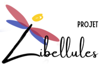 cropped-logo-projet-Libellules-JRB.png Logo Projet Libellules